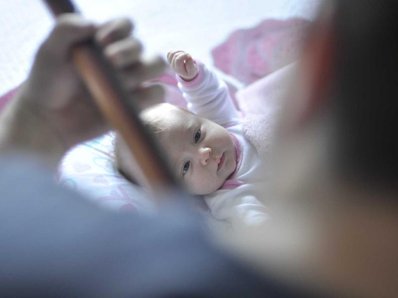 食物造型师<br>lyj4jayv.cn 塑料冰块摆盘